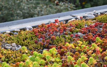 the cost of Llanfoist green roof installation