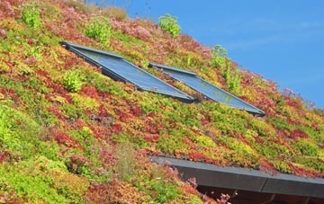 Llanfoist living roof systems
